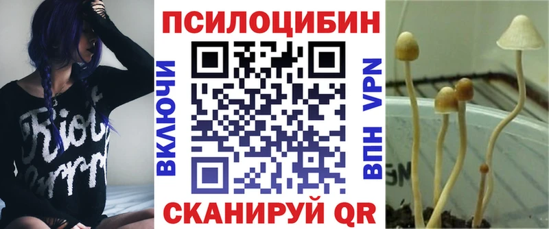 дарнет шоп  Абакан  Псилоцибиновые грибы мухоморы 